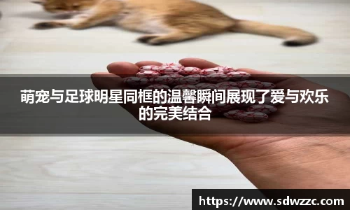 萌宠与足球明星同框的温馨瞬间展现了爱与欢乐的完美结合